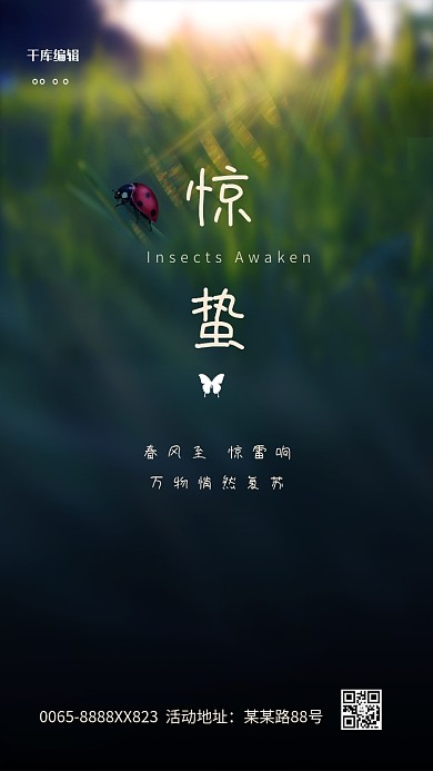 惊蛰节气摄影图蓝色简洁海报