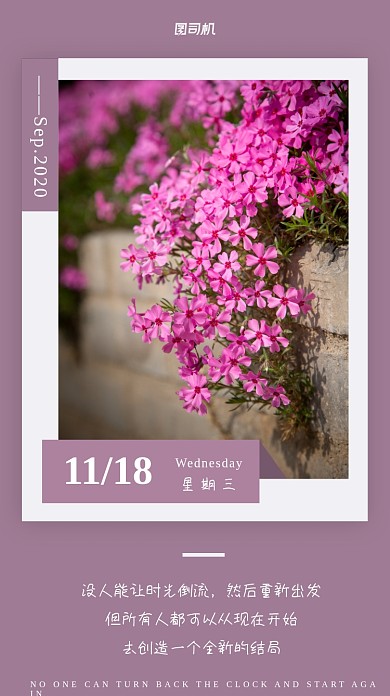 日签心情花手机海报