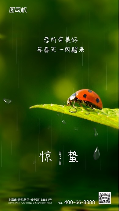 惊蛰节气绿色大气清新手机海报