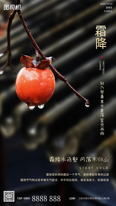 霜降节气摄影图柿子简约清新手机海报
