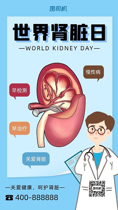 世界肾脏日卡通风手机海报