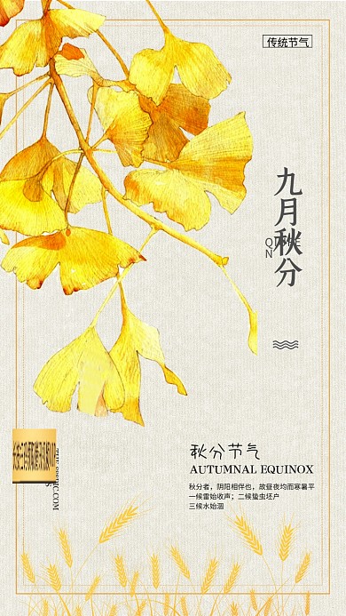 二十四节气秋分节气手机海报