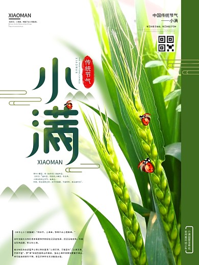 原创小清新二十四节气小满节日宣传海报