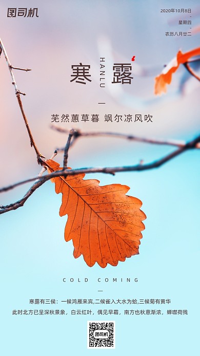 寒露节气摄影图文艺清新枯叶手机海报