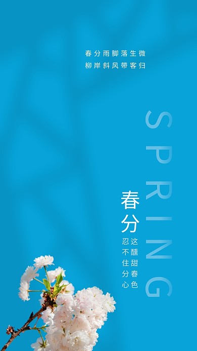 二十四节气春分节气简约海报