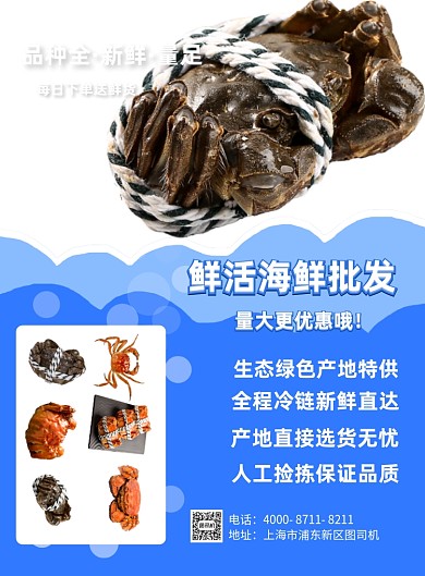 海鲜批发海鲜零售蓝色印刷海报