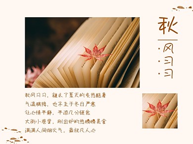 秋风习习文艺枫叶书横版配图