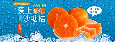 新鲜砂糖橘水果电商banner模板