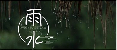深绿色自然树叶下雨节气雨水雨滴微信公众号素材图片