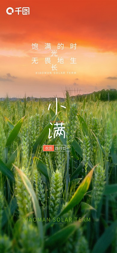 简约创意小满饱满的时光麦田摄影麦子小满节气海报