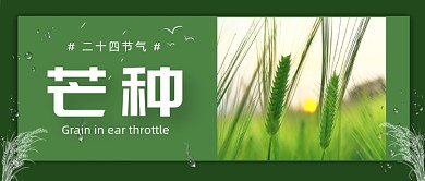 芒种节气传统中国风公众号首图