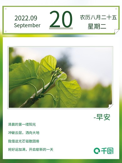 清新绿植图文摄影风早安海报朋友圈励志日签