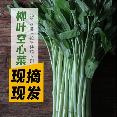 空心菜蔬菜食品淘宝主图直通车模板