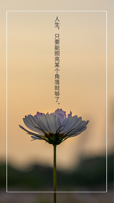 早安心情心语照亮人生高清手机海报壁纸背景