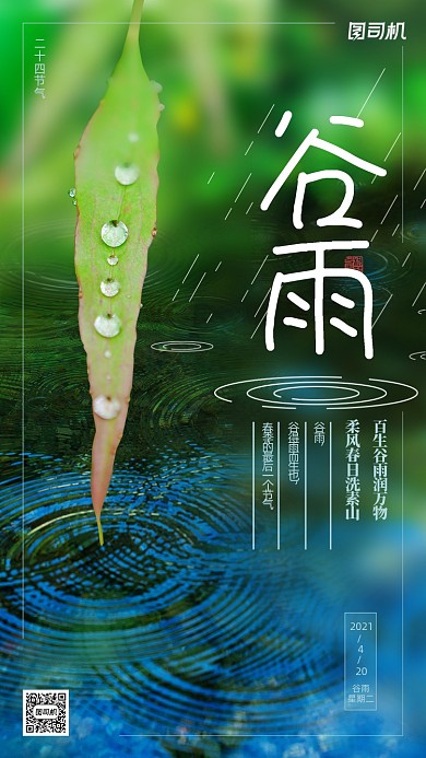 谷雨时节清新写实手机海报