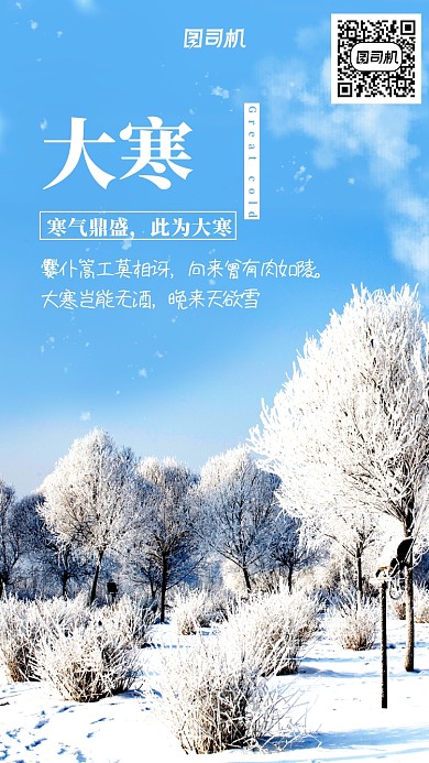 大寒小寒二十四节气冬至大气雪花海报