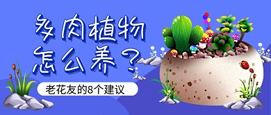 蓝色多肉植物花卉养殖公众号首图