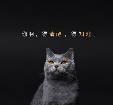 清醒知趣清新简约朋友圈封面