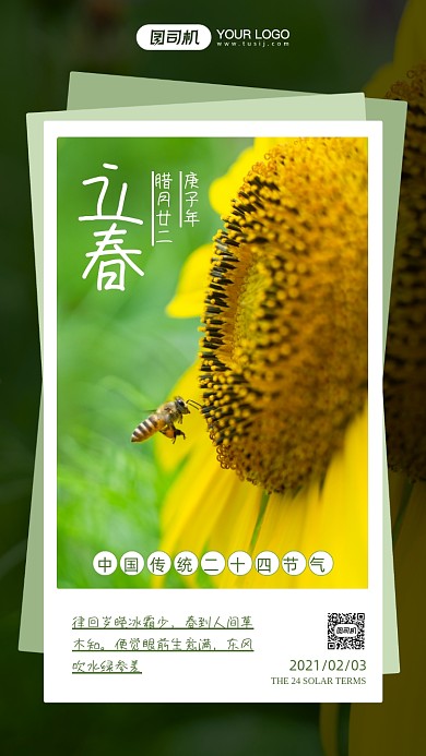 二十四节气立春摄影图手机海报