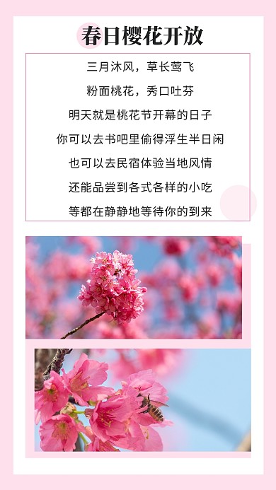 清新春天春暖花开踏青看桃花竖版配图