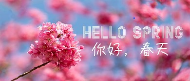 你好春天春暖花开摄影图赏花踏青公众号首图