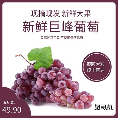 简约水果火龙果蓝莓葡萄草莓主图