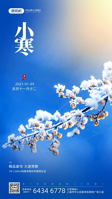小寒节气摄影图宣传手机海报