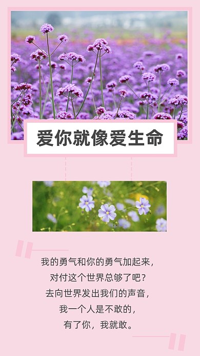 关于爱情文章配图