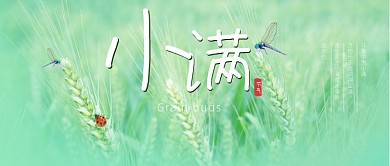 小满节气夏天粮食麦田成熟公众号首图