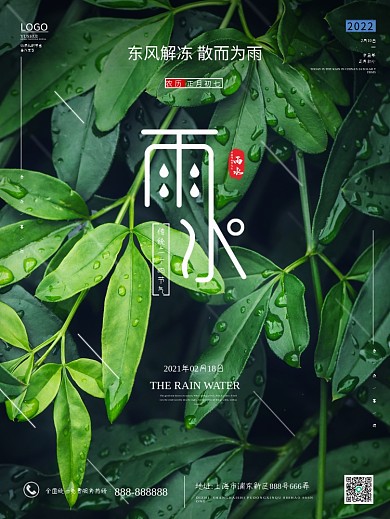 雨水二十四节气绿叶清新海报