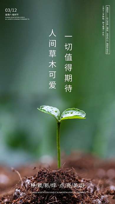 简约房地产312植树节节气手机海报启动页