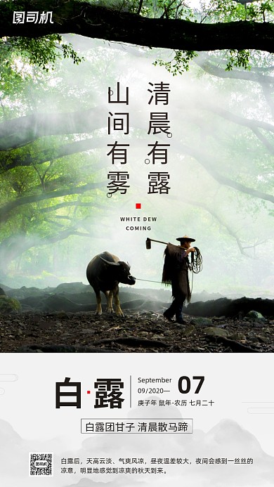 传统节气白露手机海报