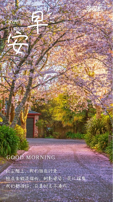 文艺简约早安你好日签手机海报