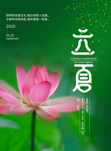 简洁荷花立夏节气海报