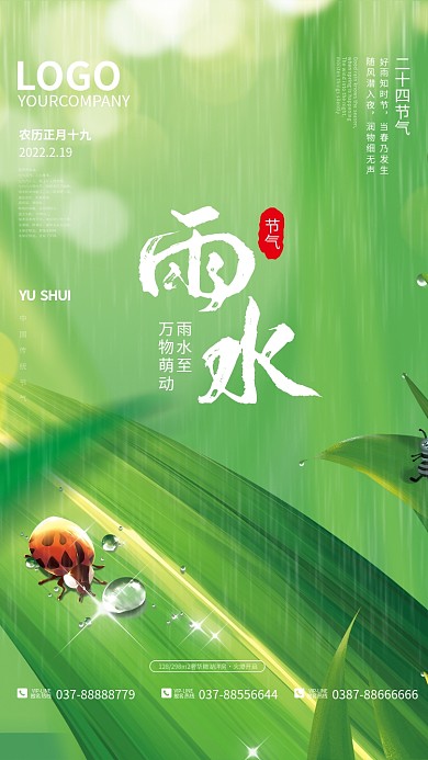 雨水节气叶子露水绿色简约海报