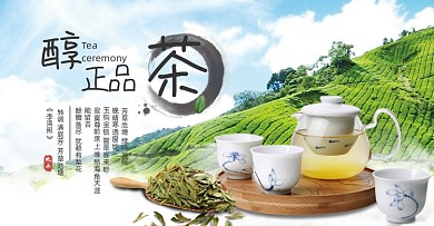 西湖龙井茶绿茶上新海报