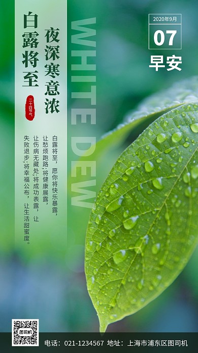 白露节日手机海报