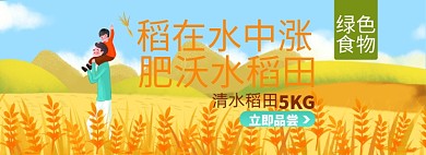 健康绿色大米淘宝电商banner图