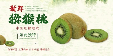 新鲜猕猴桃清新展牌