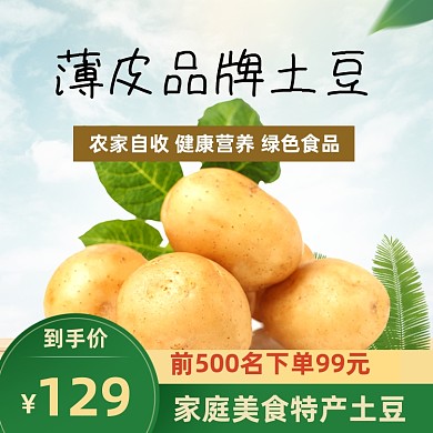 食品土特产土豆马铃薯主图