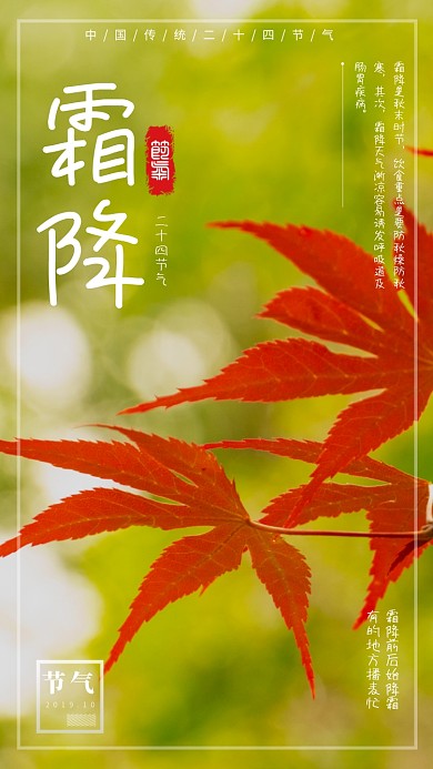霜降传统节气简约宣传手机海报