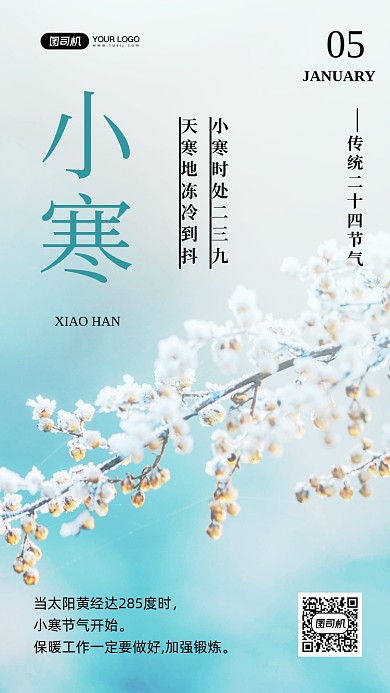 小寒节气24节气写实手机海报
