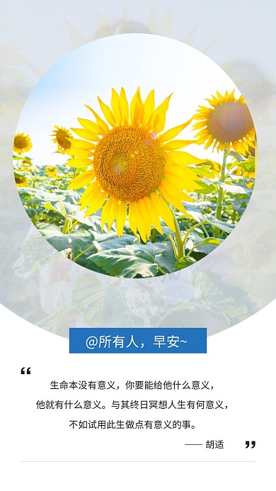 简约早安问候文章配图