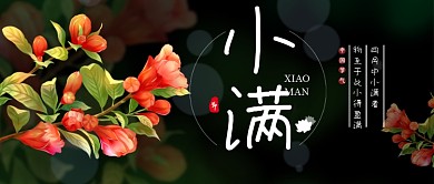 节气小满新媒体配图