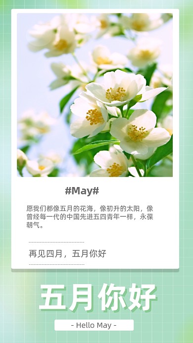 五月你好花卉鲜花摄影图海报