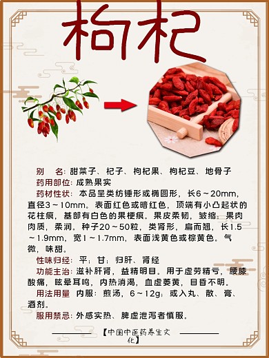 简约中医养生中药枸杞海报