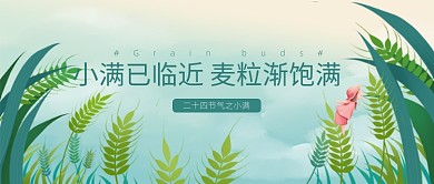 小满节气麦穗夏天稻田绿色公众号首图