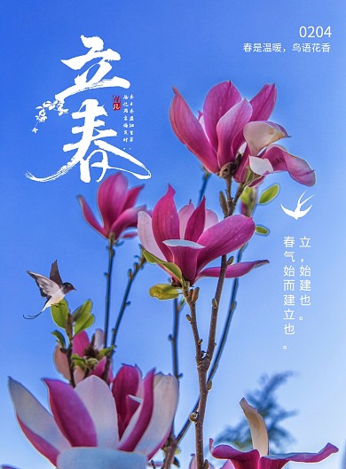 简约二十四节气立春海报