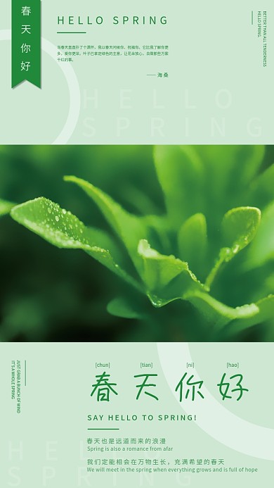 摄影图春天你好海报