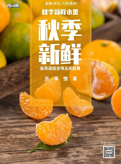 秋季新鲜水果应季印刷海报